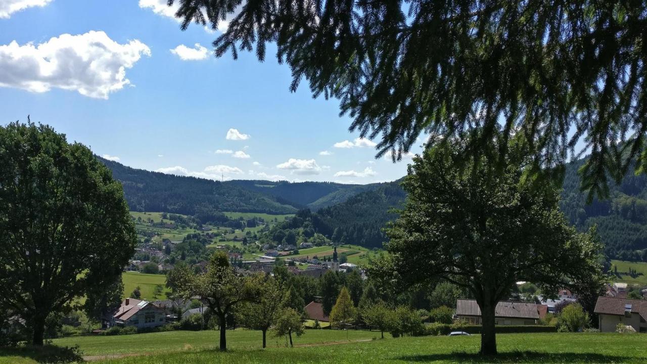 Schwarzwaelder Ferienwohnungen Seelbach  Bagian luar foto