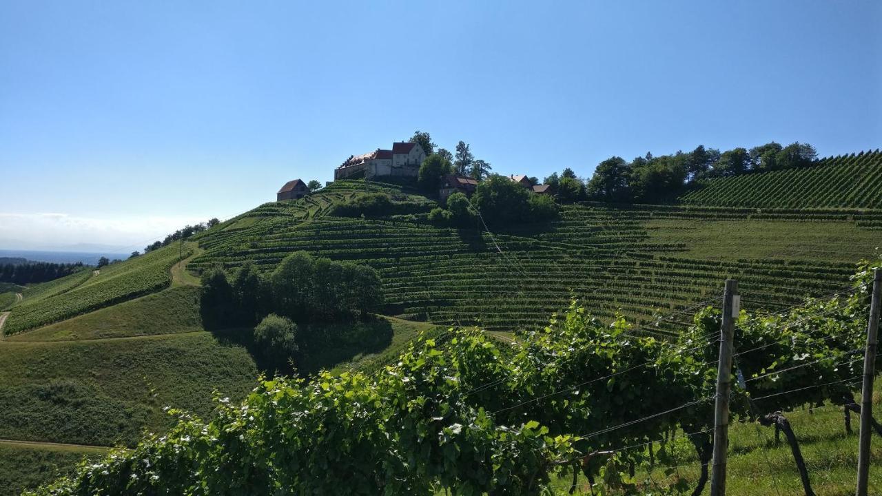 Schwarzwaelder Ferienwohnungen Seelbach  Bagian luar foto