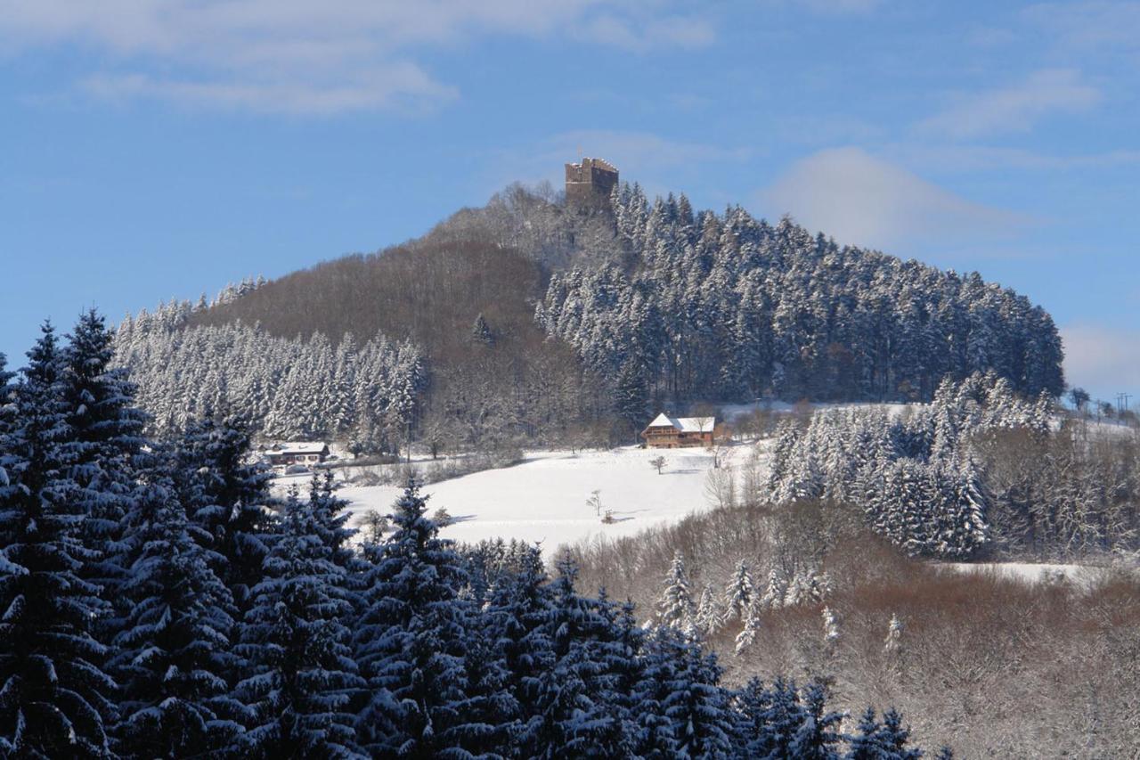 Schwarzwaelder Ferienwohnungen Seelbach  Bagian luar foto