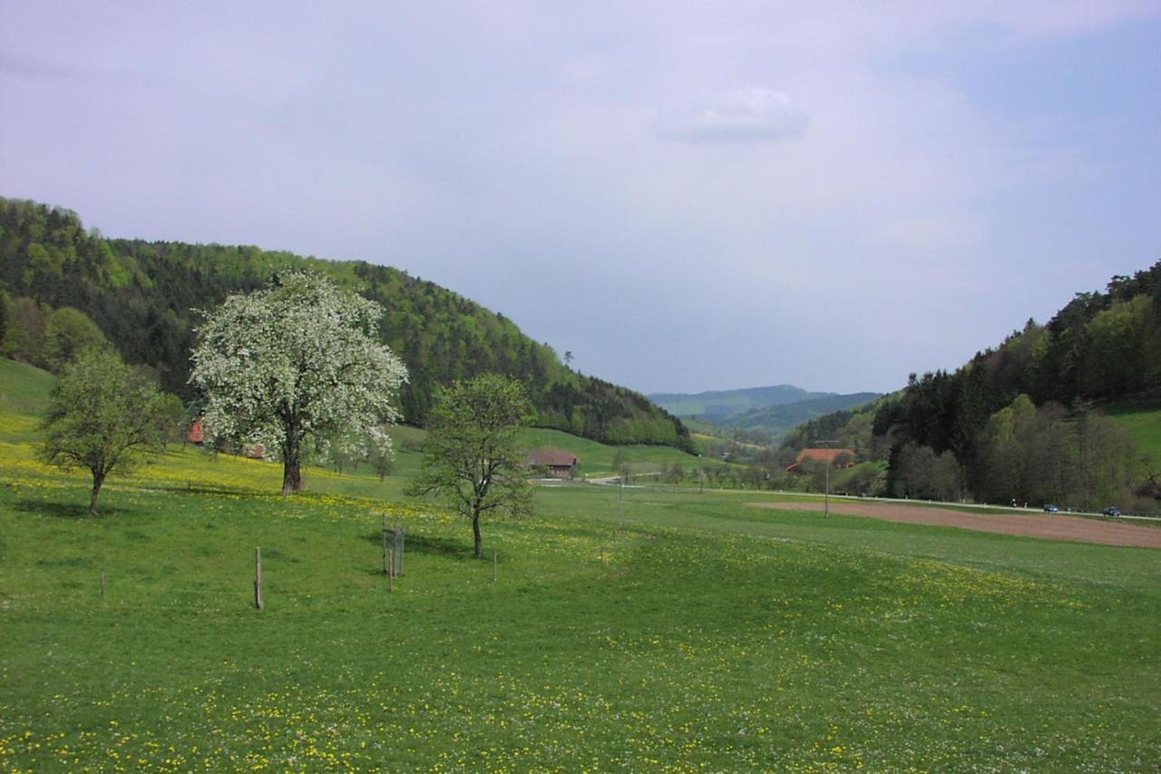 Schwarzwaelder Ferienwohnungen Seelbach  Bagian luar foto