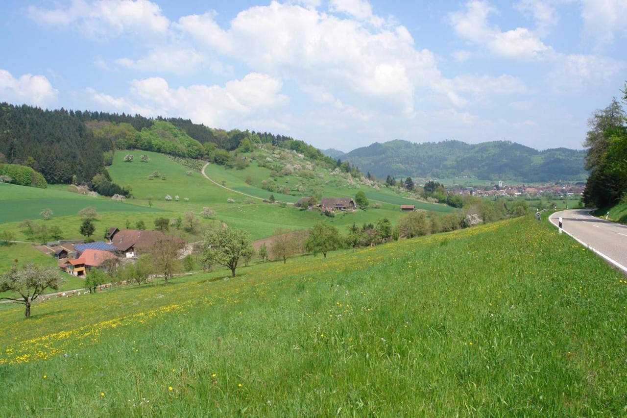 Schwarzwaelder Ferienwohnungen Seelbach  Bagian luar foto